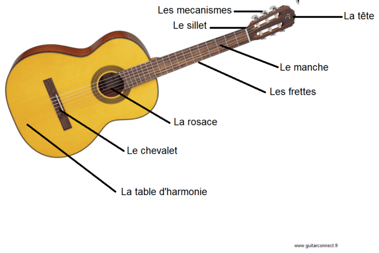 PRESENTATION DE LA GUITARE - GUITARCONNECT